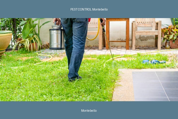 PEST CONTROL Montebello